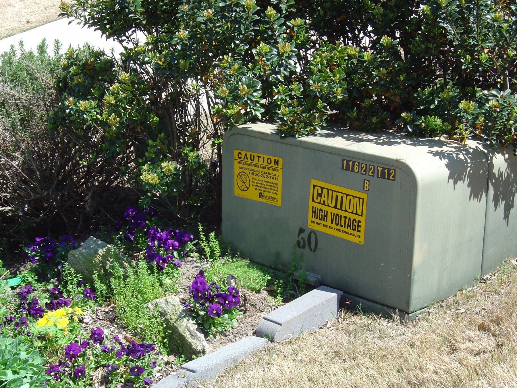 Transformer with Bushes Surrounding